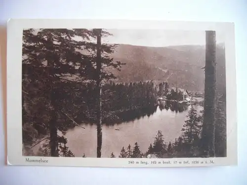 Alte AK Mummelsee Schwarzwald [E713]