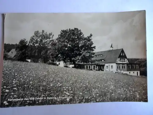 Alte AK Geising Erzgebirge Ferienheim VEB Tabak [aG465]