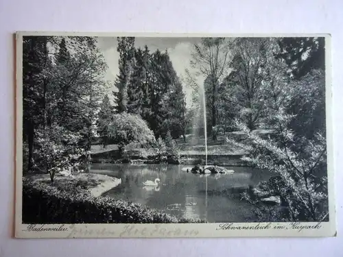 Alte AK Badenweiler Schwanenteich im Kurpark [aG641]