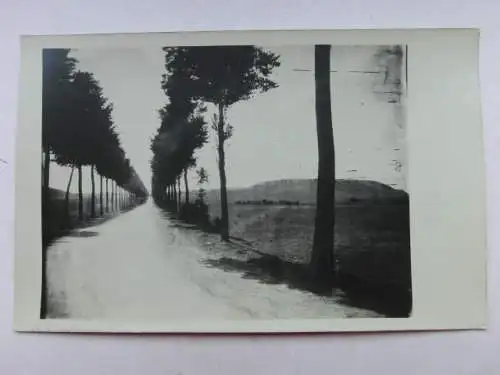 Alte AK Fotokarte Unbekannter Ort Allee [aX1014]