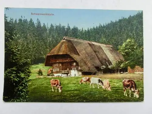 Alte AK Schwarzwald Schwarzwaldhaus Kühe 1910 [aT937]