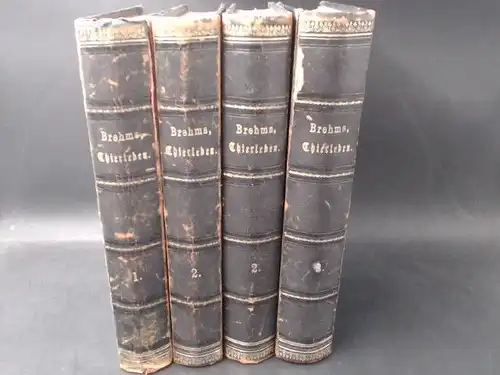 Brehm, A. E: Brehms Thierleben [Tierleben]. Allgemeine Kunde des Thierreichs [Tierreichs]: Konvolut mit 4 Bänden: 1) Erster Band: Erste Abtheilung [Abteilung] - Säugethiere [Säugetiere]: Affen...