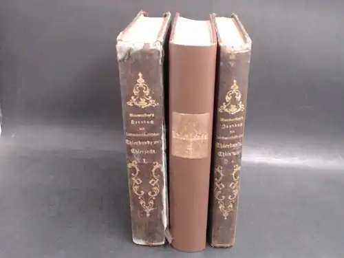 Baumeister, Wilh: 3 Bände: Handbuch der landwirthschaftlichen [landwirtschaftlichen] Thierkunde [Tierkunde] und Thierzucht [Tierzucht] für Thierärzte [Tierärzte], Landwirthe [Landwirte], Gestütsbeamte etc. in 3 Bänden: 1) Erster...