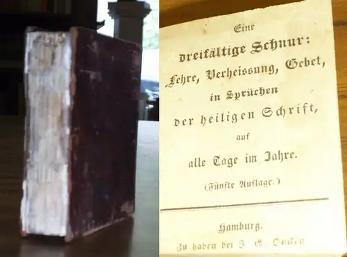 Biblia. - Oncken, Johann Gerhard: Eine dreifältige Schnur: Lehre, Verheissung, Gebet in Sprüchen der heiligen Schrift auf alle Tage im Jahre. 