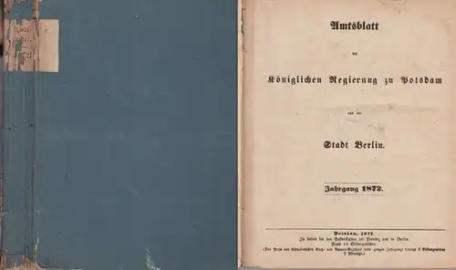 Amts-Blatt der Königlichen Regierung zu Potsdam und der Stadt Berlin: AmtsBlatt der Königlichen Regierung zu Potsdam und der Stadt Berlin. (Früher: Amtsblatt der Königlichen Kurmaerkischen...