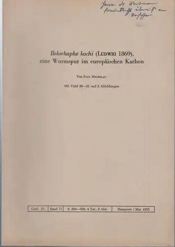 Michelau, Paul: Belorhaphe kochi ( Ludwig 1869 ), eine Wurmspur im europäischen Karbon. Mit Tafel 28 - 31 und 2 Abbildungen. ( Geologisches Jahrbuch Band 71, Mai 1955 ). 