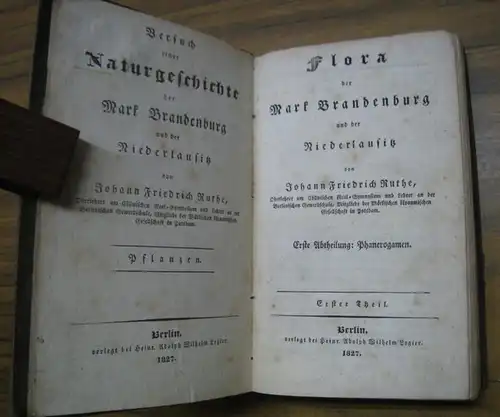 Ruthe, Johann Friedrich: Phanerogamen, erster Theil ( = Flora der Mark Brandenburg und der Niederlausitz, erste Abtheilung. - Versuch einer Naturgeschichte der Mark Brandenburg und der Niederlausitz, Pflanzen ). 