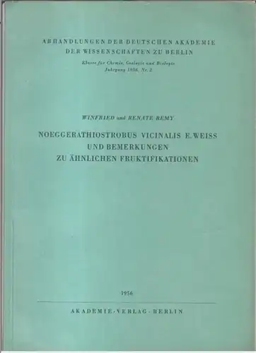 Remy, Winfried und Renate: Noeggerathiostrobus vicinalis E. Weiss und Bemerkungen zu ähnlichen Fruktifikationen ( = Abhandlungen der deutschen Akademie der Wissenschaften zu Berlin, Klasse für Chemie, Geologie und Biologie, Jahrgang 1956, Nr. 2 ). 