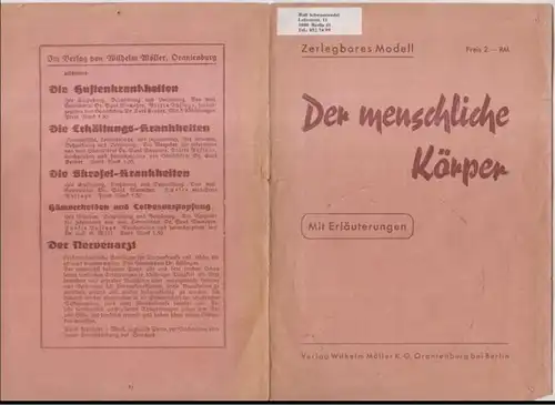 Menschlicher Körper: Der menschliche Körper. Mit Erläuterungen. Zerlegbares Modell. 