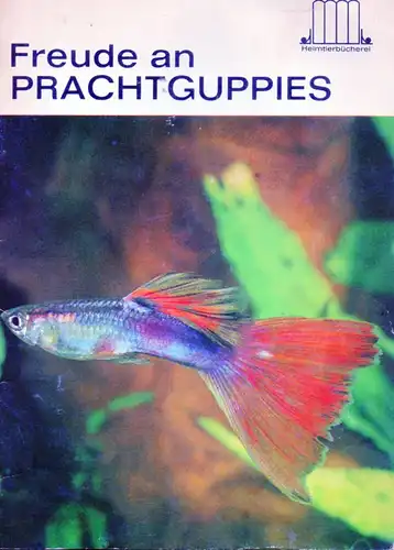 Freude an Prachtguppies. 