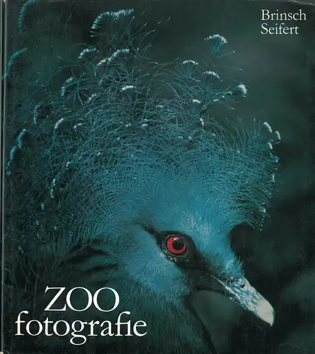 Zoo fotografie. 