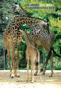 125 Jahre Zoo Basel, in einem Tag um die Welt. 