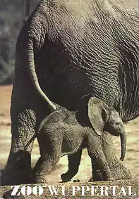 Zooführer (kl. Elefant), 5. Auflage. 