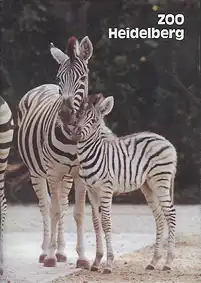 Zooführer mit Faltplan (Zebras). 