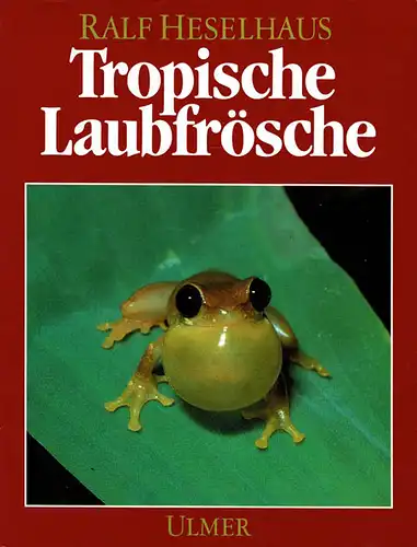 Tropische Laubfrösche. 