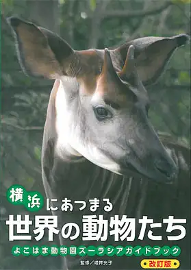 Guide (Okapi). 