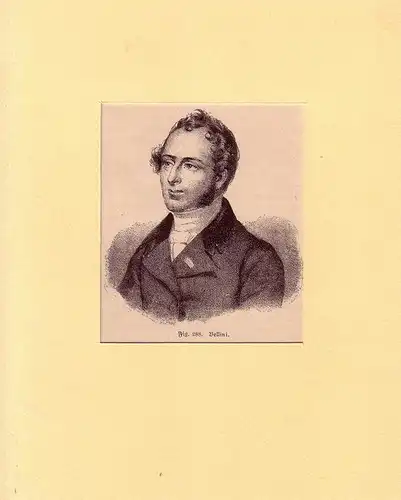 PORTRAIT Bellini. (1801 Catania - 1835 Puteaux, Komponist). Brustbild im Dreiviertelprofil. Holzstich, Bellini, Vincenzo