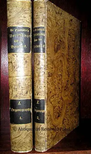 Candolle, August Pyramus de: Organographie der Gewächse, oder kritische Beschreibung der Pflanzen-Organe. Eine Fortsetzung und Entwicklung der Anfangsgründe der Botanik und Einleitung zur Pflanzen-Physiologie und...