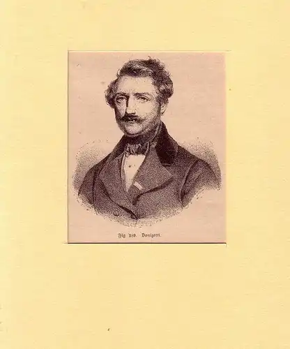 PORTRAIT Gaetano Donizetti. (1797 Bergamo - 1848 ebda., Komponist). Schulterstück im Dreiviertelprofil. Holzstich, Donizetti, Gaetano