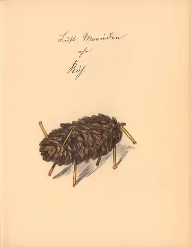 Klemm, Fritz.: Lütt Marieken ehr Köh. Gezeichnet 1845 für seine kleinen Töchter von Fritz Klemm, Zichorienfabrikant in Kiel. Mit einem Nachwort von Helene Klemm. Faksimiledruck. 