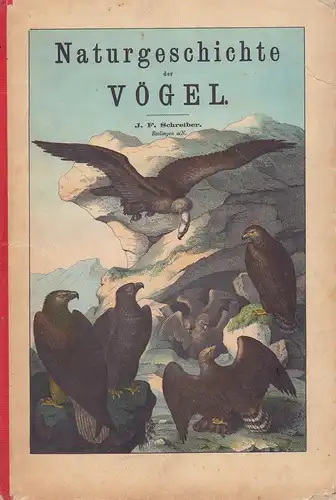 Schubert, G.H. v. [Gotthilf Heinrich von]: Naturgeschichte der Vögel in Bildern, treu, theils nach der Natur, theils nach den ausgezeichnetsten zoologischen Bildensammlungen gezeichnet, fein und...