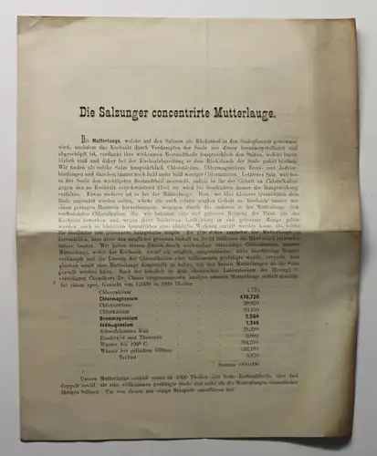 Original Prospekt Die Salzunger concentrirte Mutterlauge Kurort Thüringen 1878