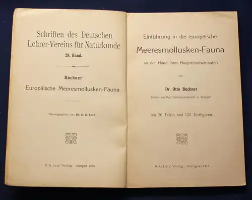 Buchner Einführung in die europäische Meeresmollusken- Fauna 1913 Weichtiere js