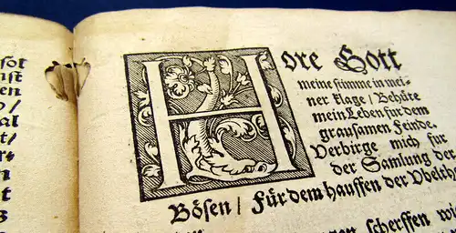 Luther, Dr. Martin 1541 Wider Hans Worst am