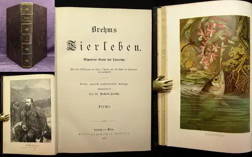 Brehms Tierleben Fische 8.Bd apart 1892 Naturwissenschaften Tiere js