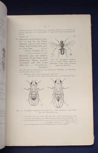 Weidner Bestimmungstabellen der Vorratsschädlinge Hausungeziefer 171 Abb. js