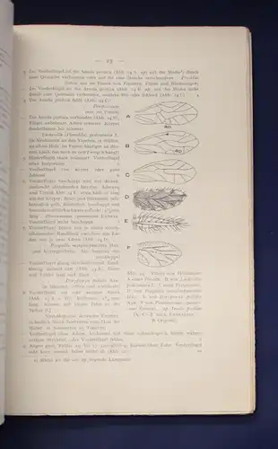 Weidner Bestimmungstabellen der Vorratsschädlinge Hausungeziefer 171 Abb. js