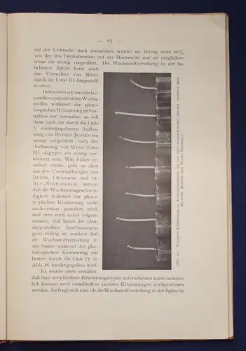 Jensen Die Wuchsstofftheorie und ihre Bedeutung Analyse der Pflanzen Natur js