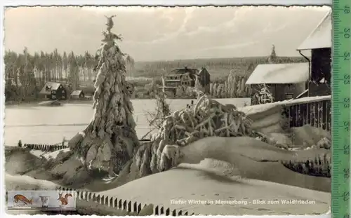 Tiefer Winter in Massaberg-Blick zum Waldfrieden-1961 - Verlag: R. Bechstein, Ilmenau, POSTKARTE mit Frankatur,