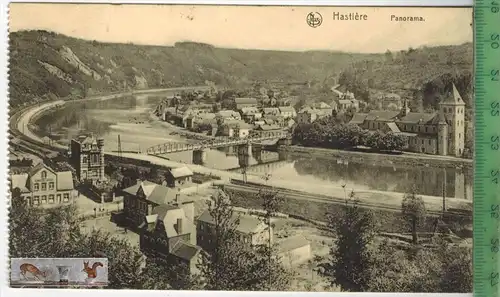 Hastiere Panorama-1915- Verlag: Ern. Thill, Brux, FELD-POSTKARTE ohne Frankatur, mit Stempel,  DINANT 6.9.15