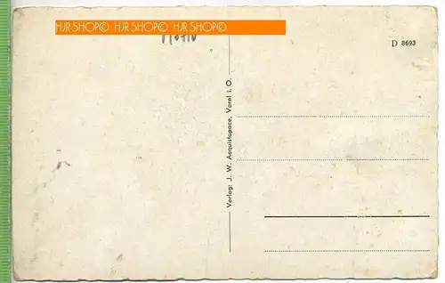 Friesische Wehde, Urwald,  um 1920/1930 Verlag: J. W. Acquistapace, Varel i. O., Postkarte, unbenutzte Karte