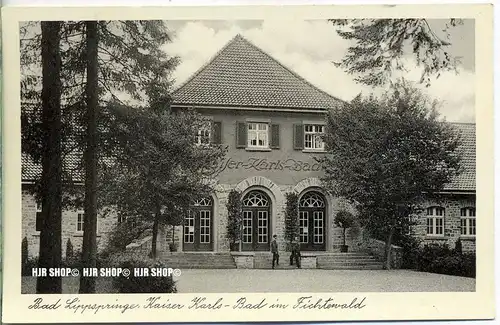 „ Bad Lippspringe, Kaiser Karls-Bad im Fichtenwald “   um 1920/1930,  Ansichtskarte, ungebrauchte Karte