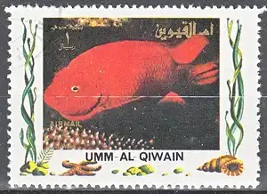 hc000.980 - Umm al Kaiwain Mi.Nr. 1311A o