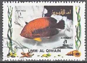 hc000.992 - Umm al Kaiwain Mi.Nr. 1467A o