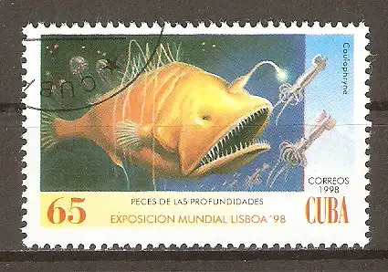 Briefmarke Cuba Mi.Nr. 4114 o Tiefsee-Anglerfisch (Caulophryne sp.) #202438