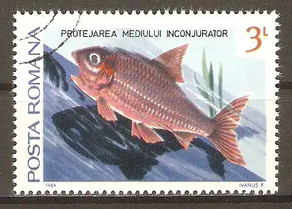 Briefmarke Rumänien Mi.Nr. 4033 o Fisch #202478