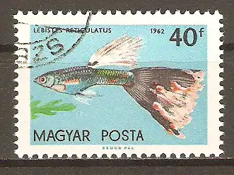 Briefmarke Ungarn Mi.Nr. 1822 A o Guppy (Lebistes reticulatus) #202486
