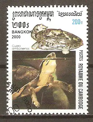 Briefmarke Kambodscha Mi.Nr. 2040 o Amboina-Scharnierschildkröte (Cuora amboinensis) #202499