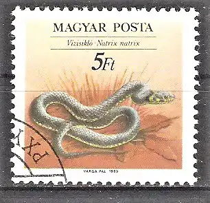 Briefmarke Ungarn Mi.Nr. 4037 A o Ringelnatter (Natrix natrix)