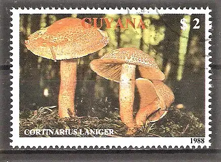 Briefmarke Guyana Mi.Nr. 2483 o Pilze 1989 / Zimtroter Gürtelfuß - Cortinarius laniger