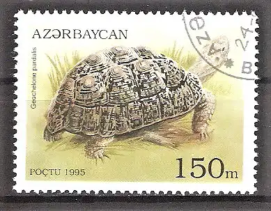 Briefmarke Aserbaidschan Mi.Nr. 225 o Pantherschildkröte (Testudo pardalis)