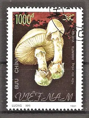 Briefmarke Vietnam Mi.Nr. 2277 o Giftpilze 1991 / Weisser Knollenblätterpilz (Amanita virosa)