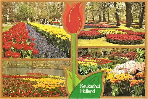 Ansichtskarte Niederlande - Lisse / Keukenhof - Holland im Blumenschmuck - Tulpen (1749)