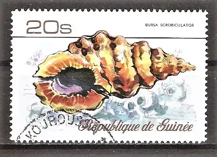 Briefmarke Guinea Mi.Nr. 774 A o Pocken-Froschschnecke (Bursa scrobilator)