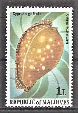 Briefmarke Malediven Mi.Nr. 808 ** Kaurischnecke (Cypraea guttata)