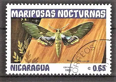 Briefmarke Nicaragua Mi.Nr. 2378 o Nachtfalter (Pholus lasbruscae)